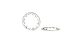 1/8 PIPE Internal Lock Washer Zinc